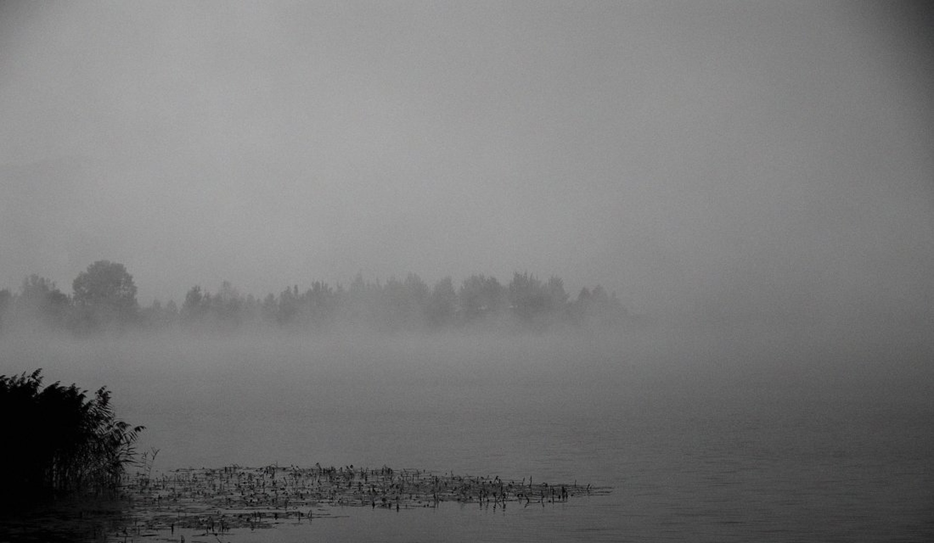 b/w creepy morning by Peter Tamše