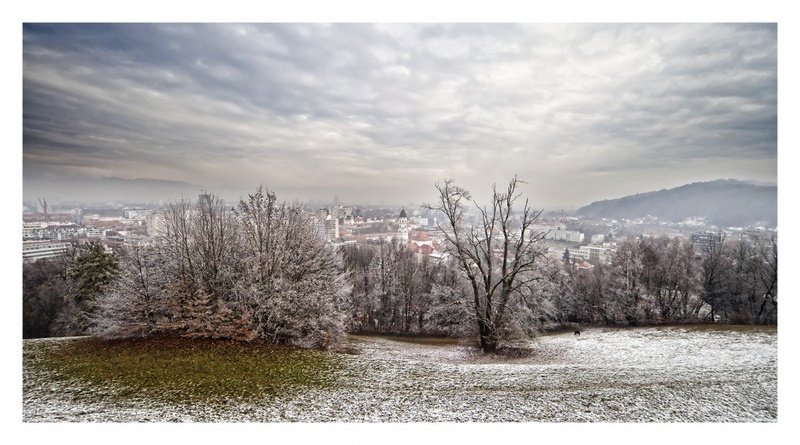 Zima brez snega by ML