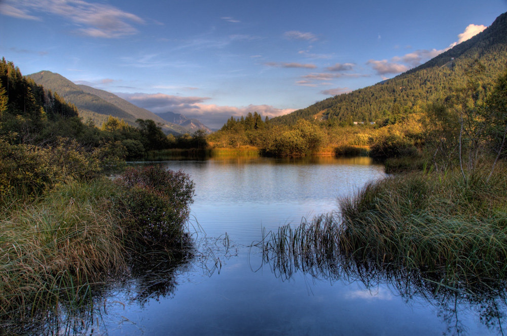Zelenci by Matjaž Logar