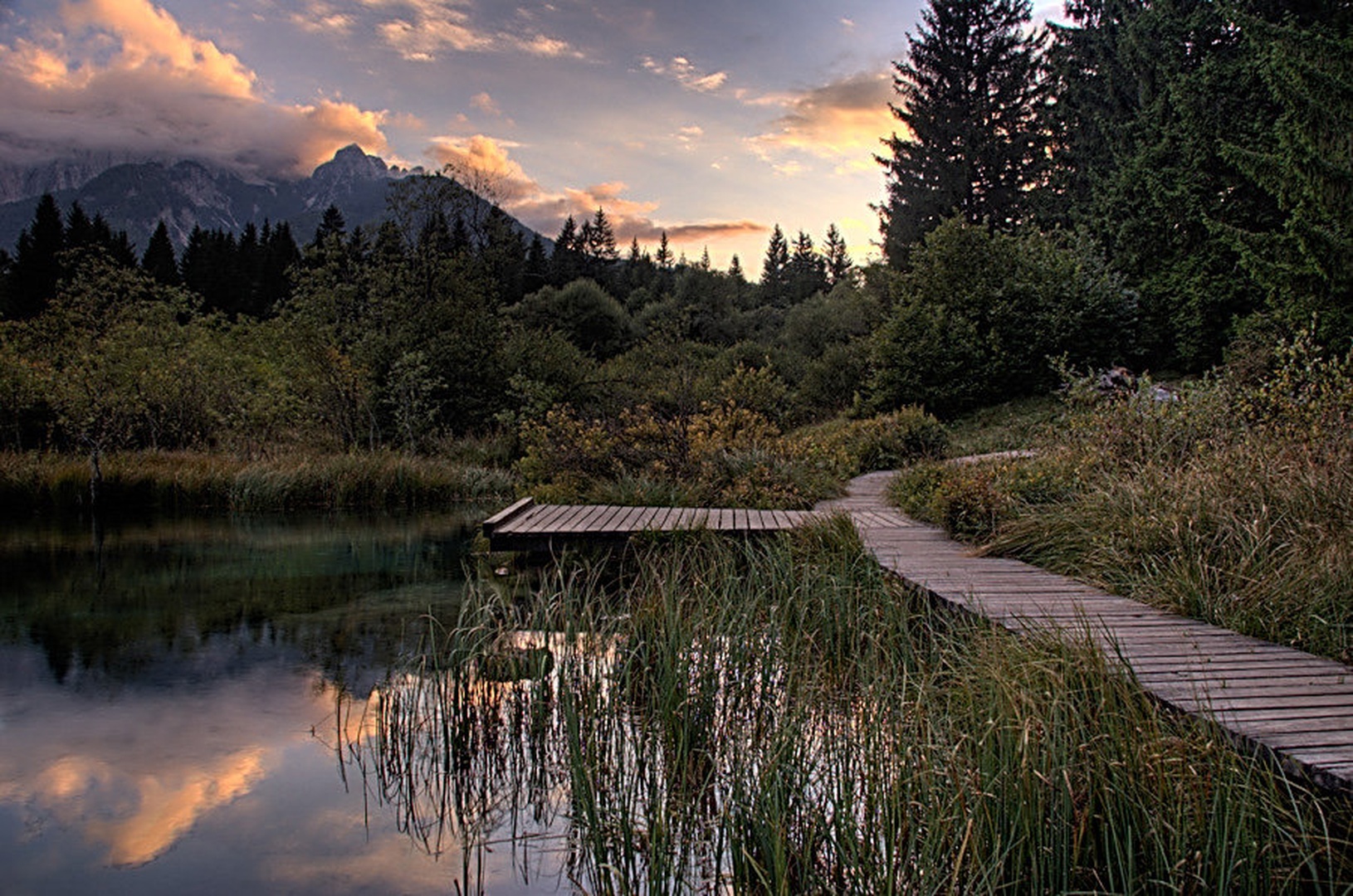 Zelenci by Matjaž Logar