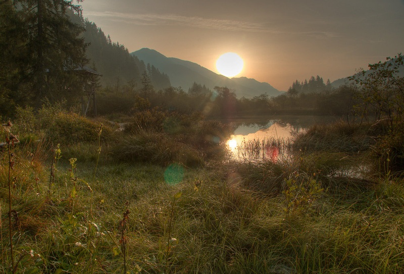 Jutro by Matjaž Logar
