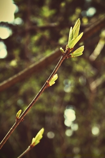 I'm growing up by Sabina Halilovič