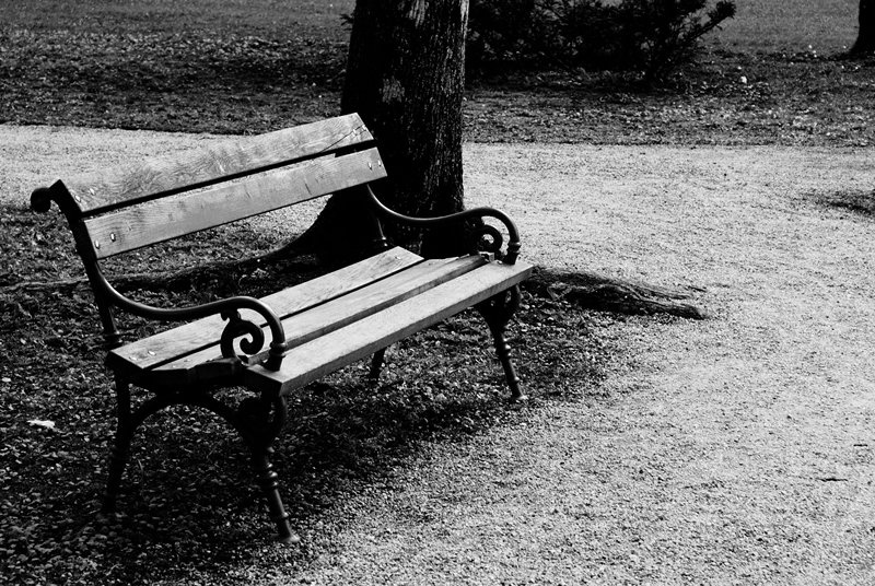 Will you sit with me? by Petra Lebar