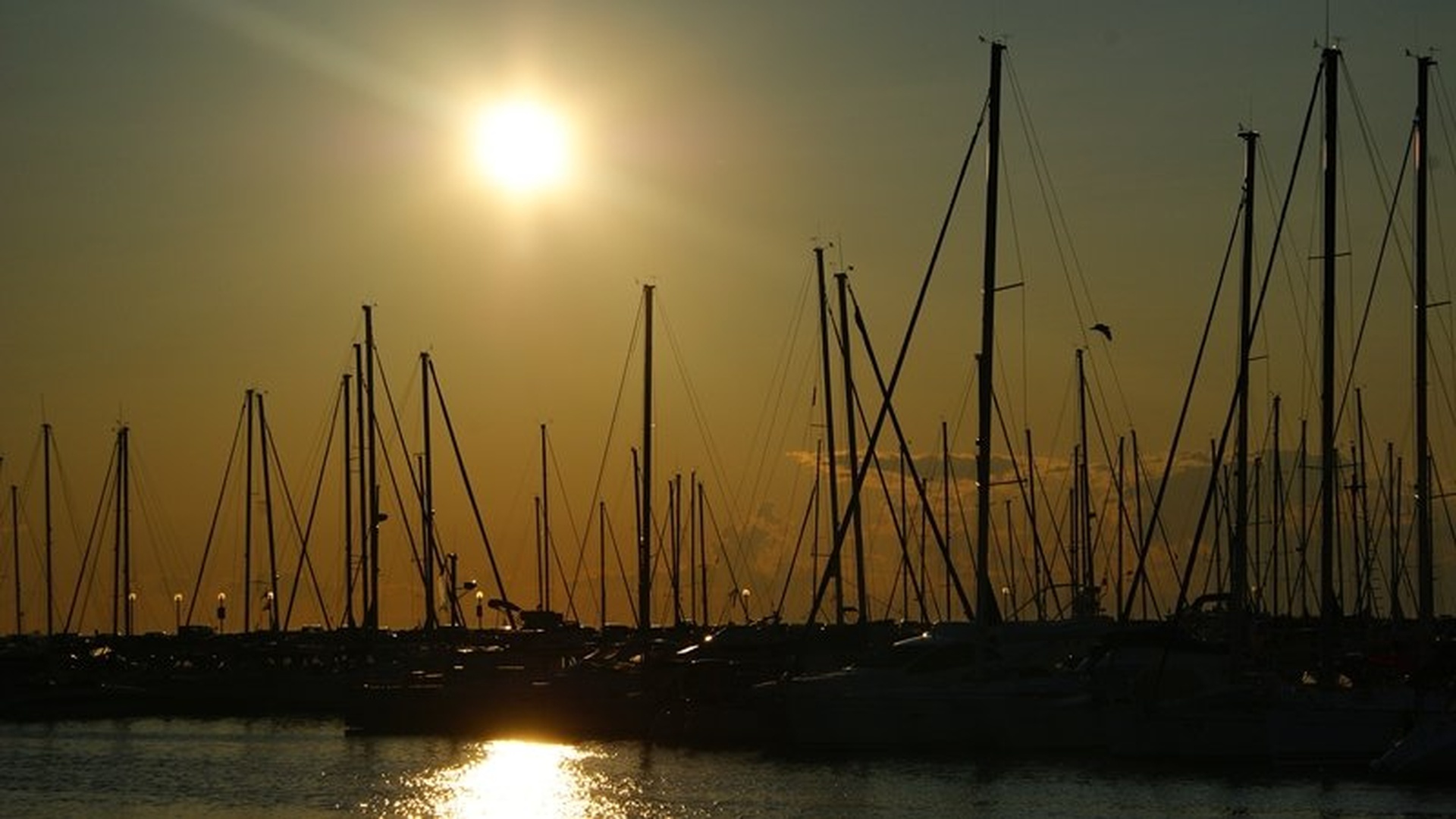 Izolska marina by Petra Lebar