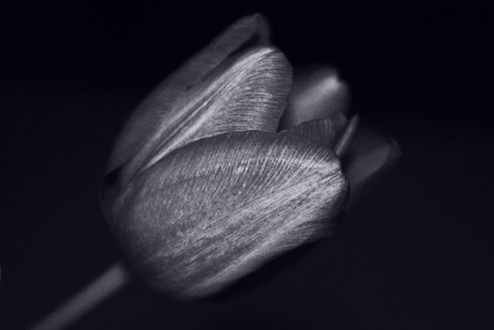 7 by