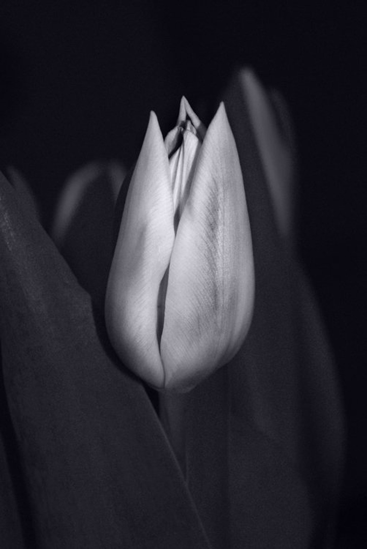 8 by