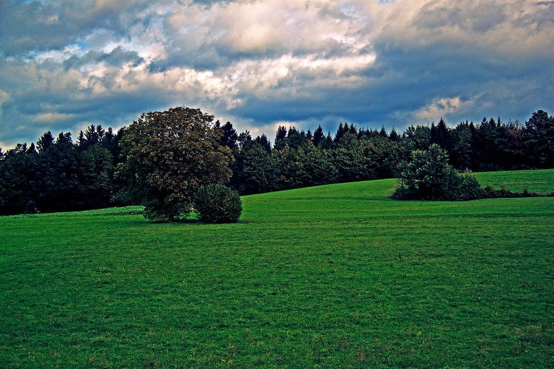 Pokrajina by luka567