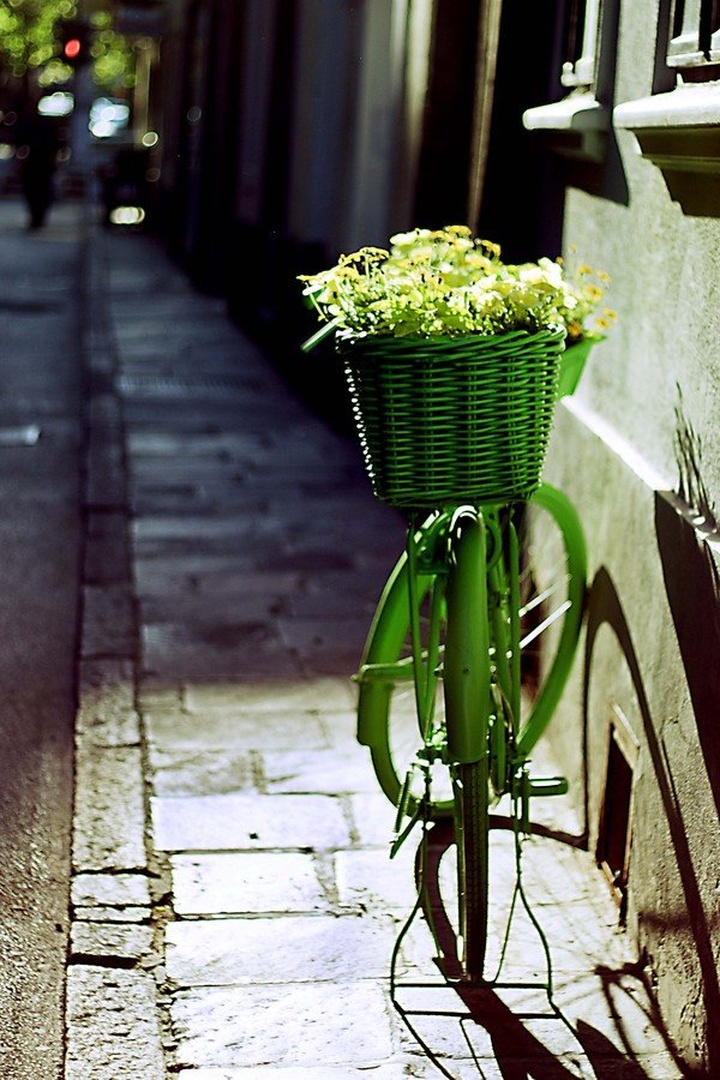 Vintage bicycle by luka567