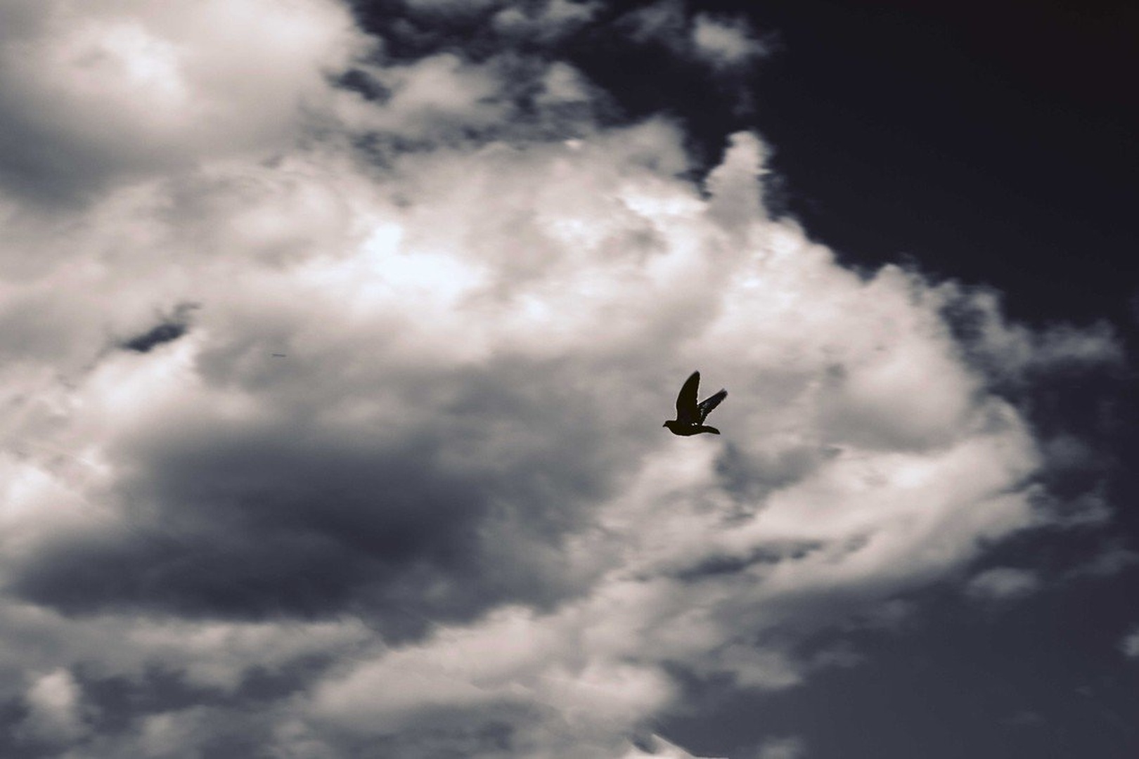 Goodbye Blue Sky by luka567