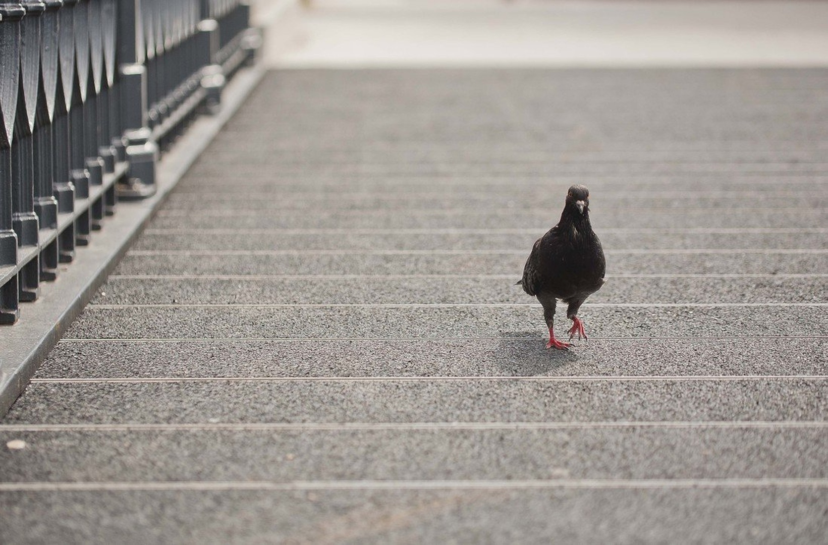 Walk on down by luka567