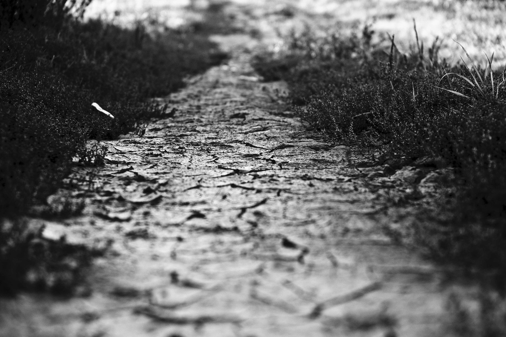 The road ahead by luka567