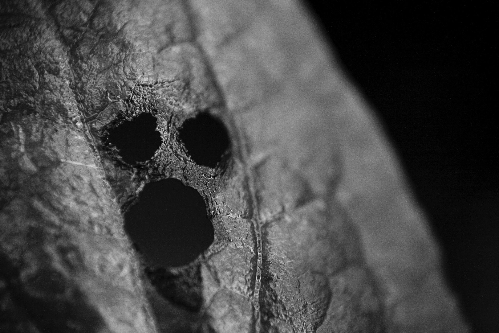 Scary by luka567