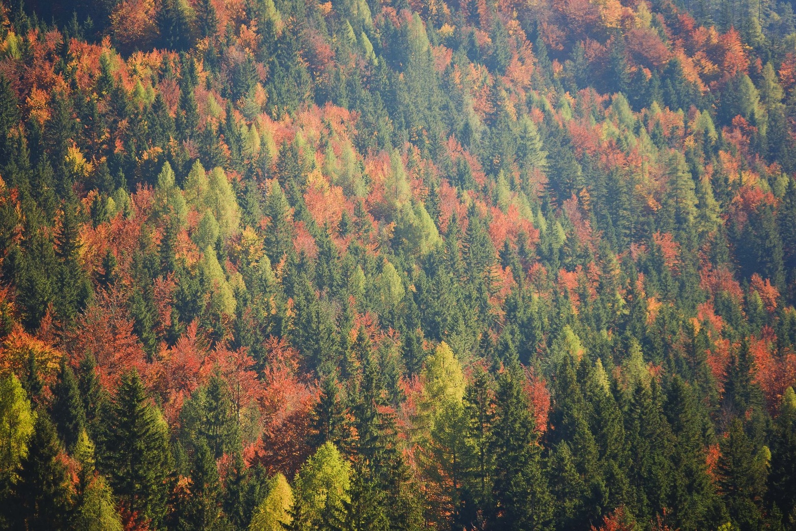 The colours of autumn by luka567
