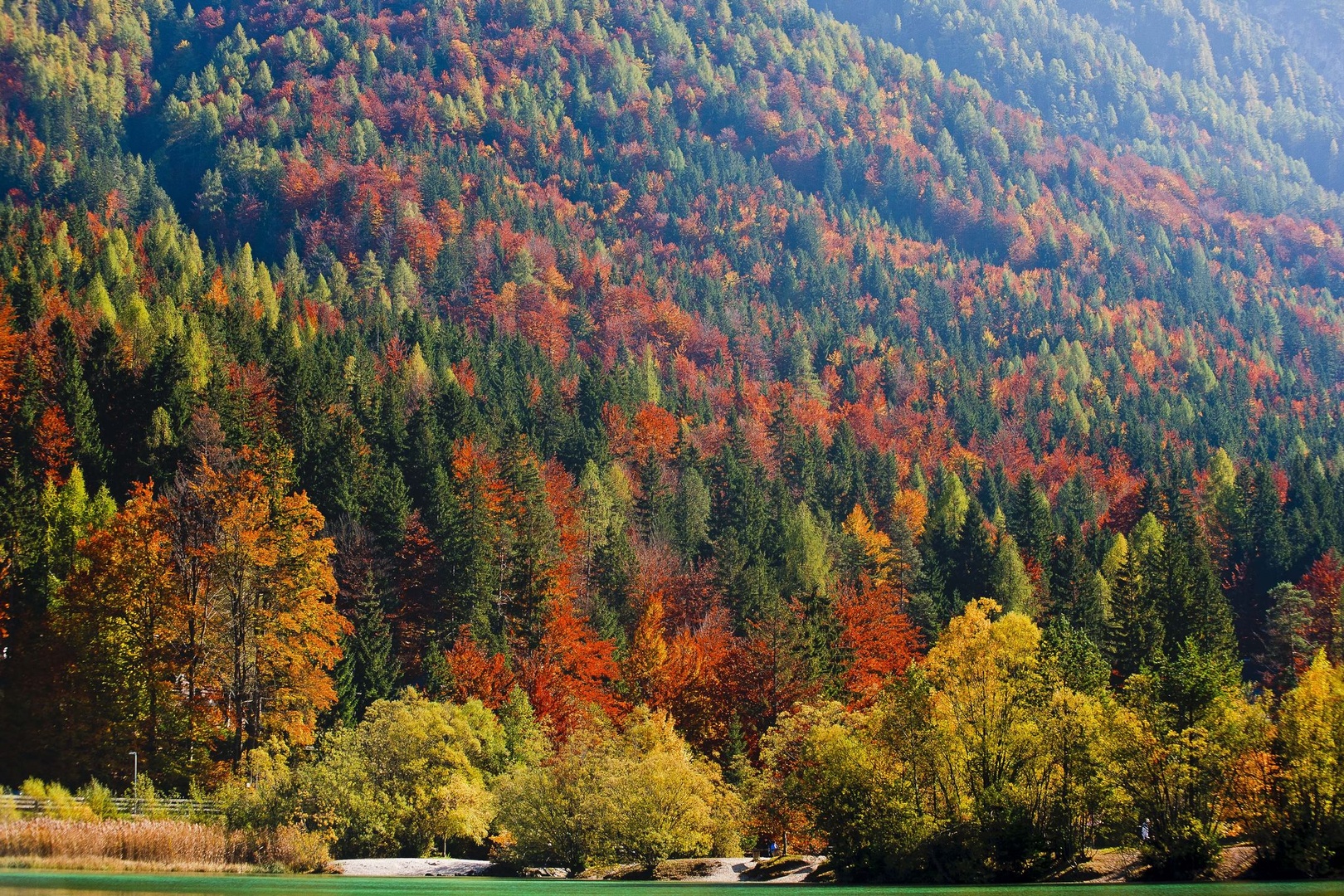 Colourful autumn by luka567