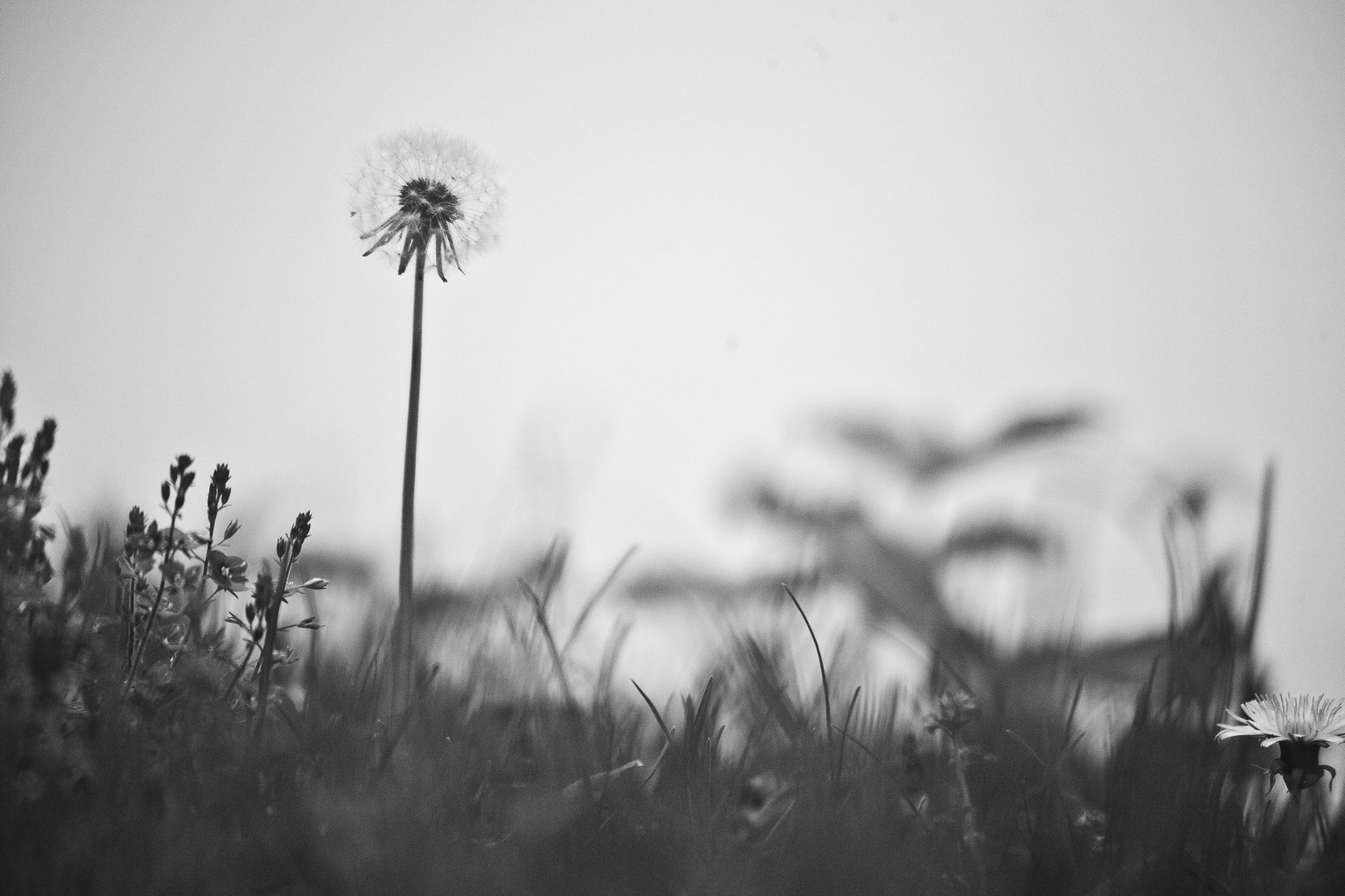 Isolation by luka567