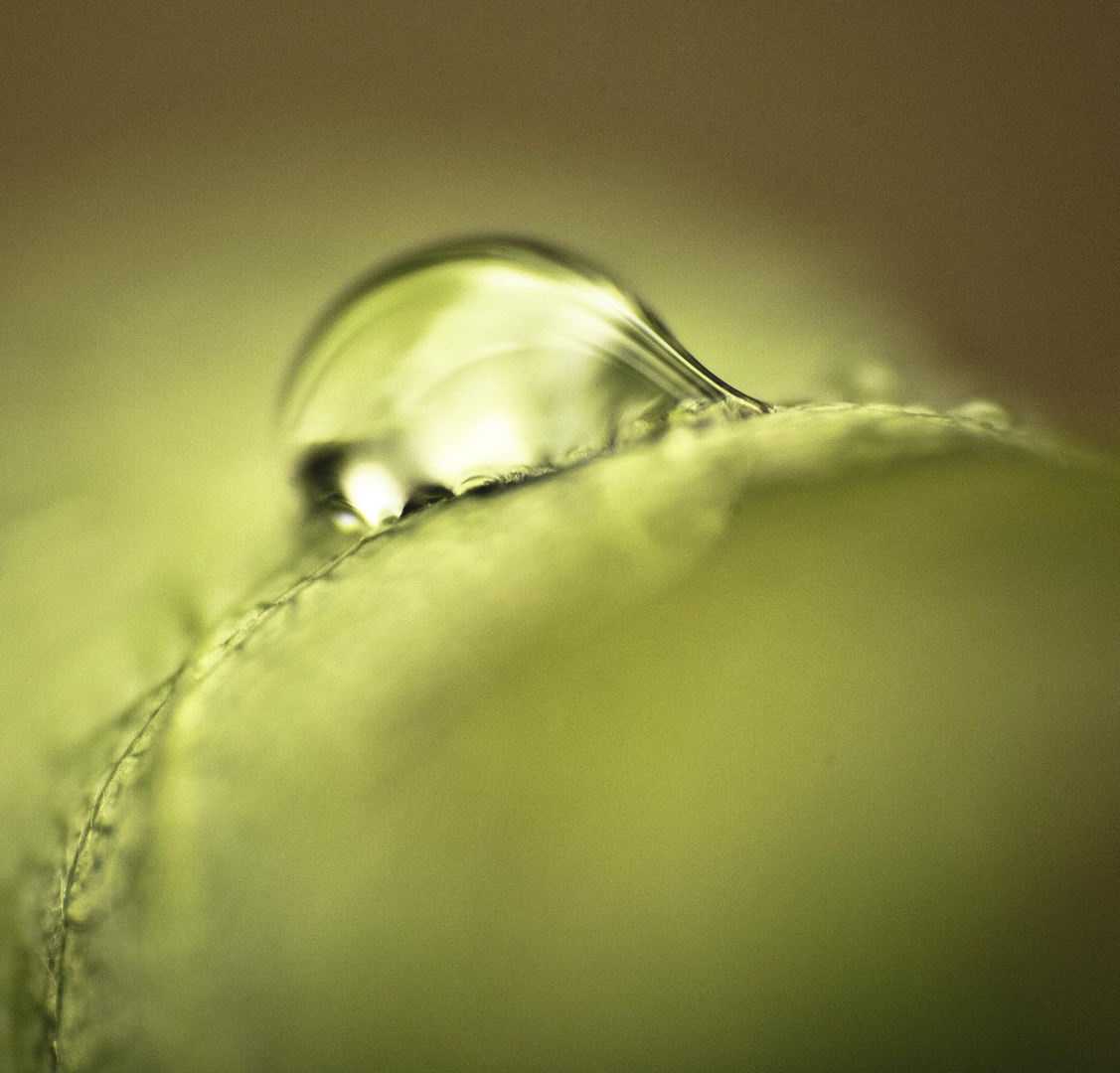 After the rain by luka567
