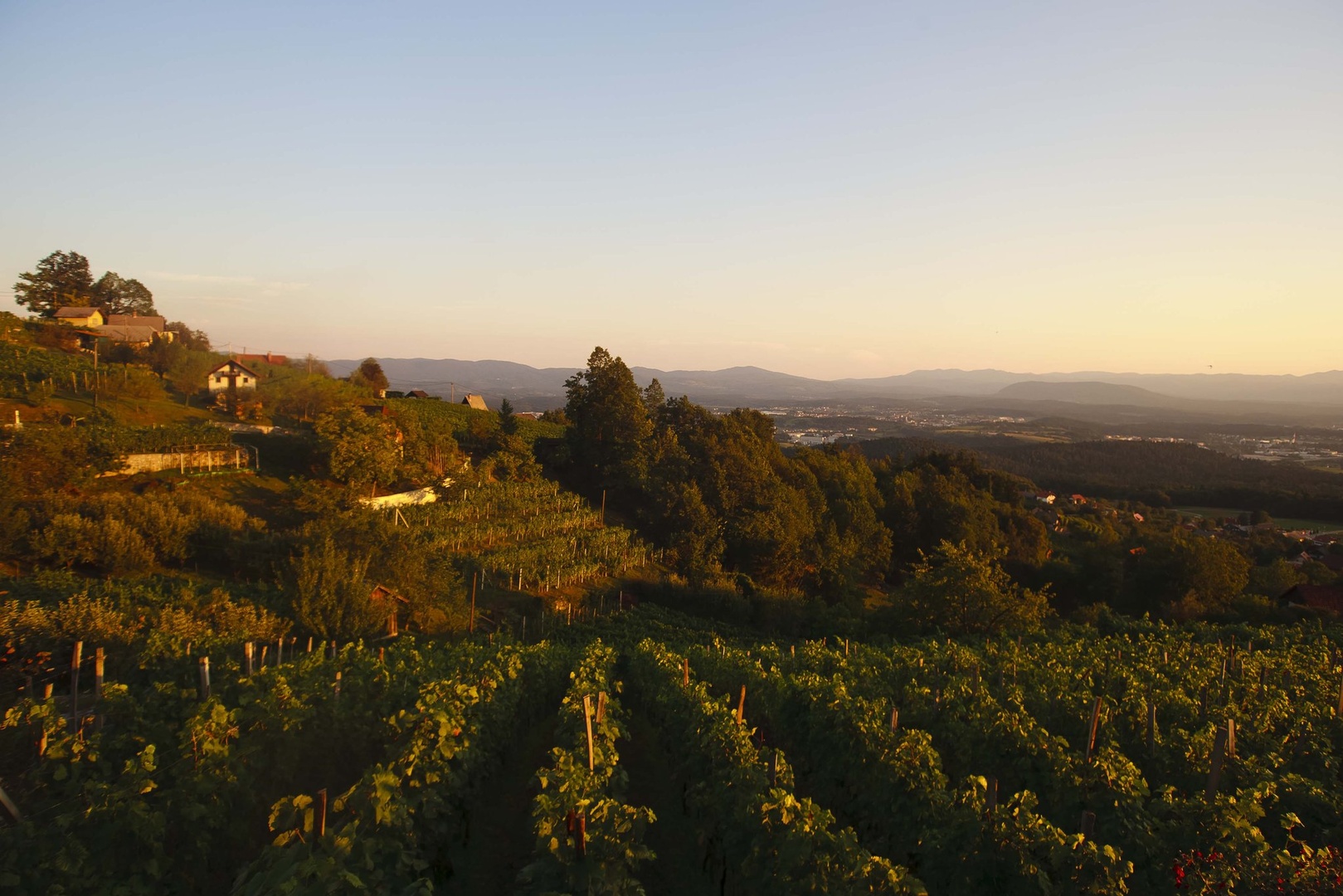 Večerni pogled na vinograd by luka567