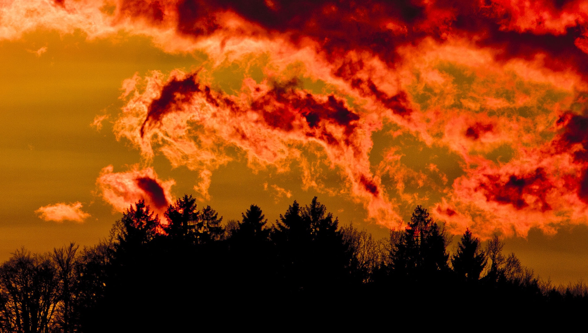 On fire by luka567