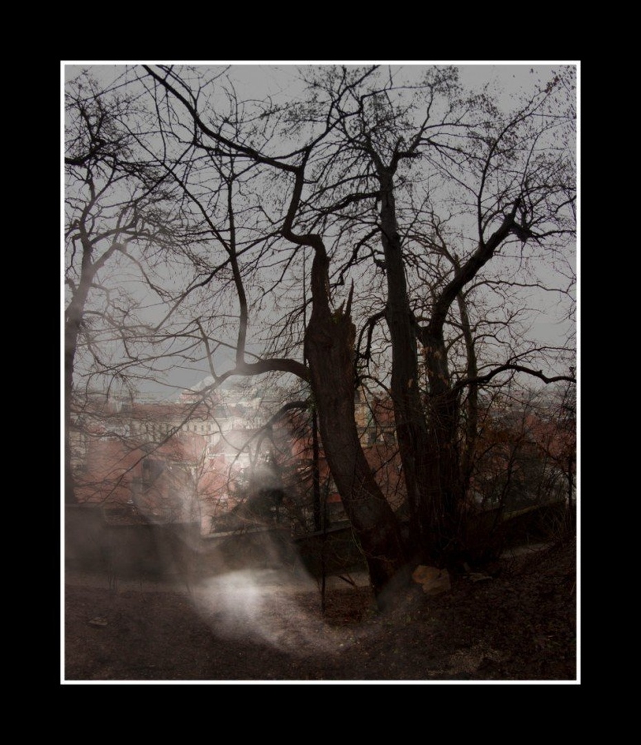 Ghostlike by luka567
