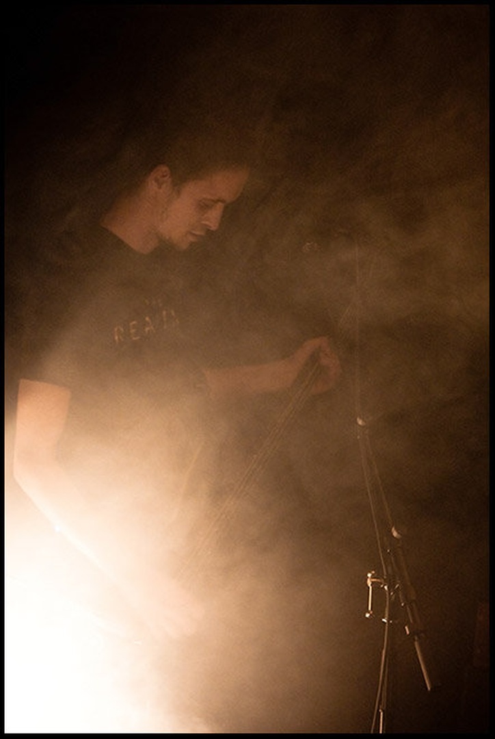 rockin' in mist by