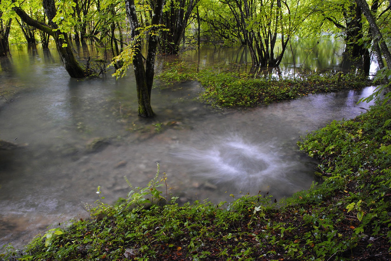 Izvir II by