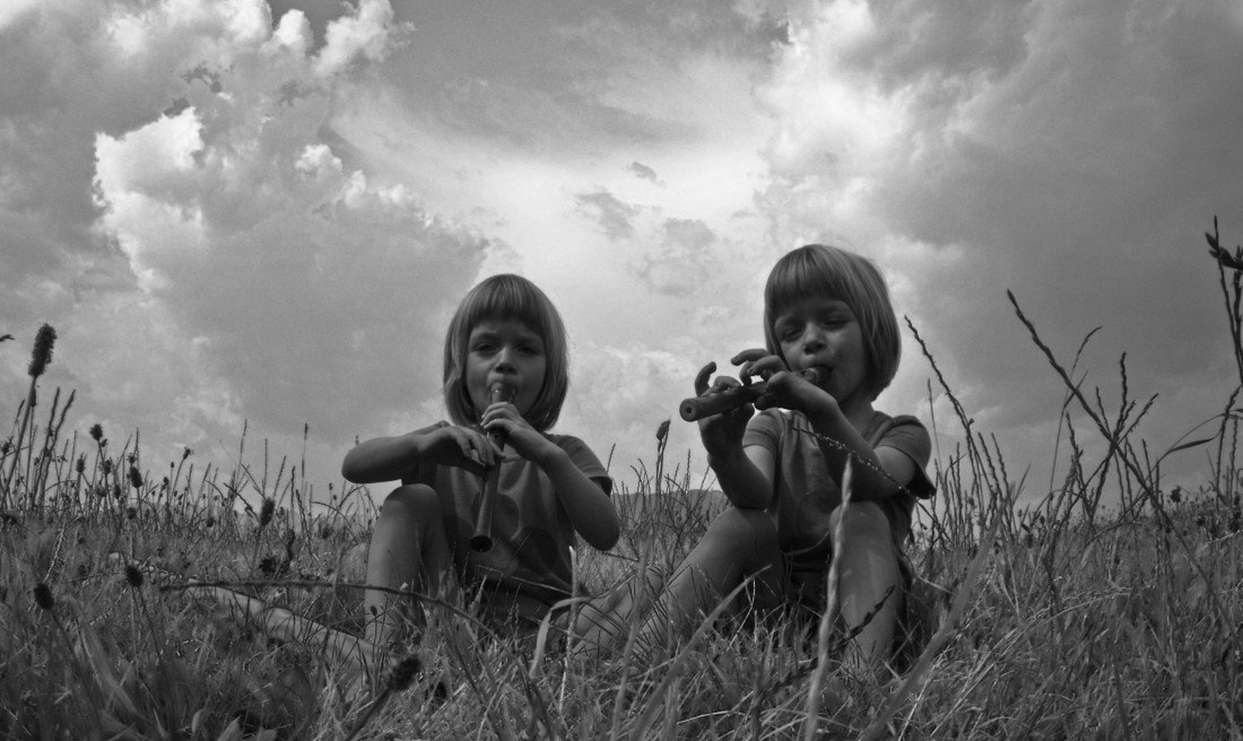 Pojoči travici by Janja Golob