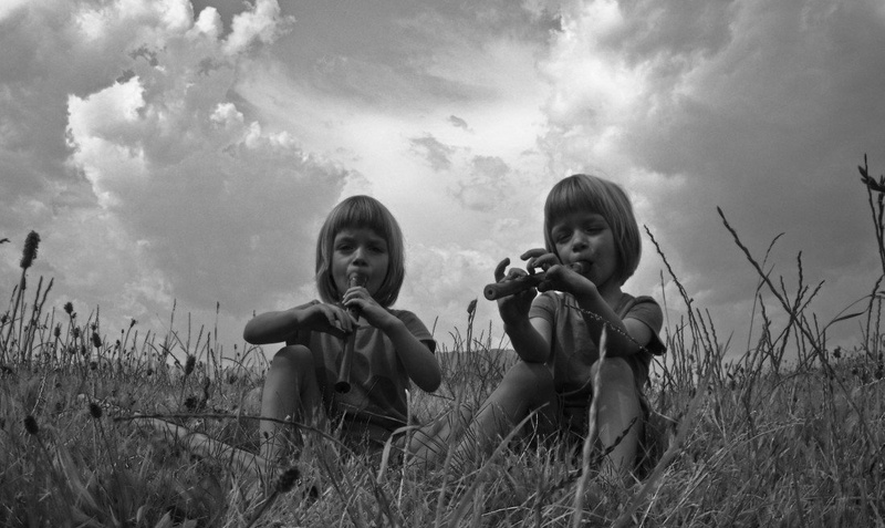 Pojoči travici by Janja Golob