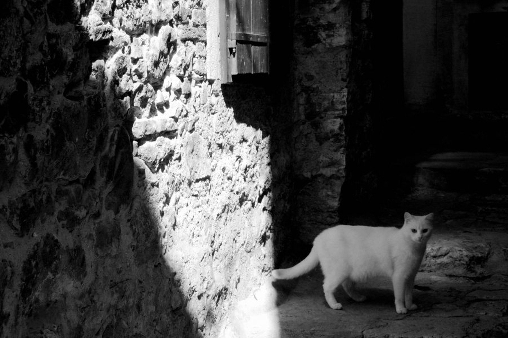 Črno/belo by Miha