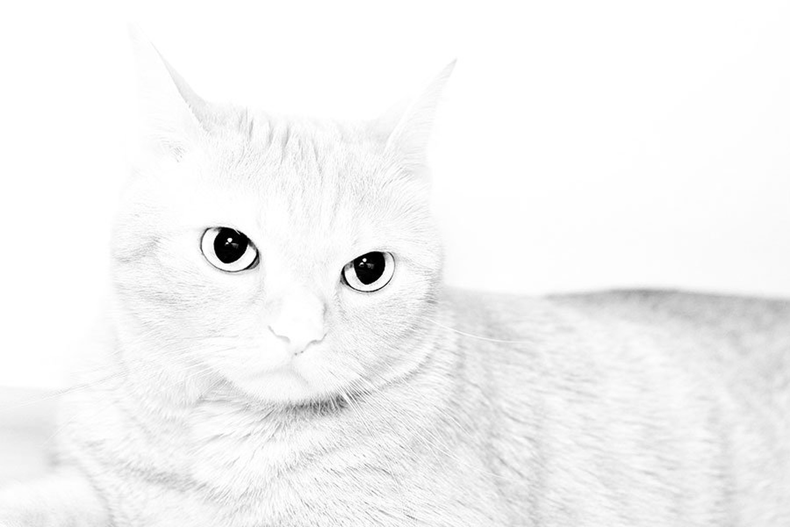 I've got my eyes on you by Inaya
