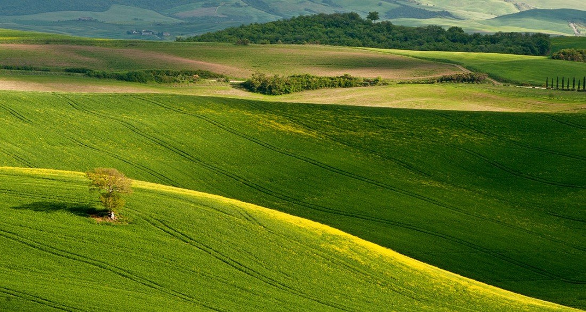 Toskanska pokrajina by Inaya