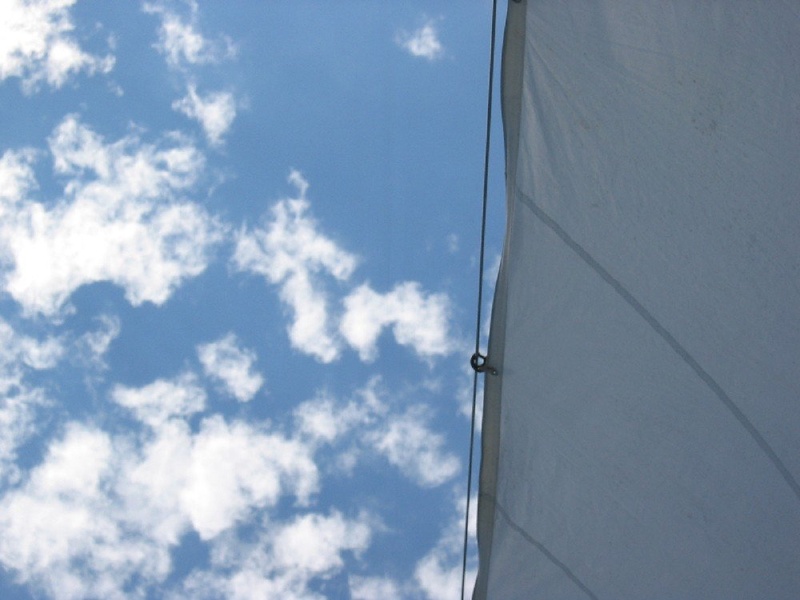 just sailing... by viking