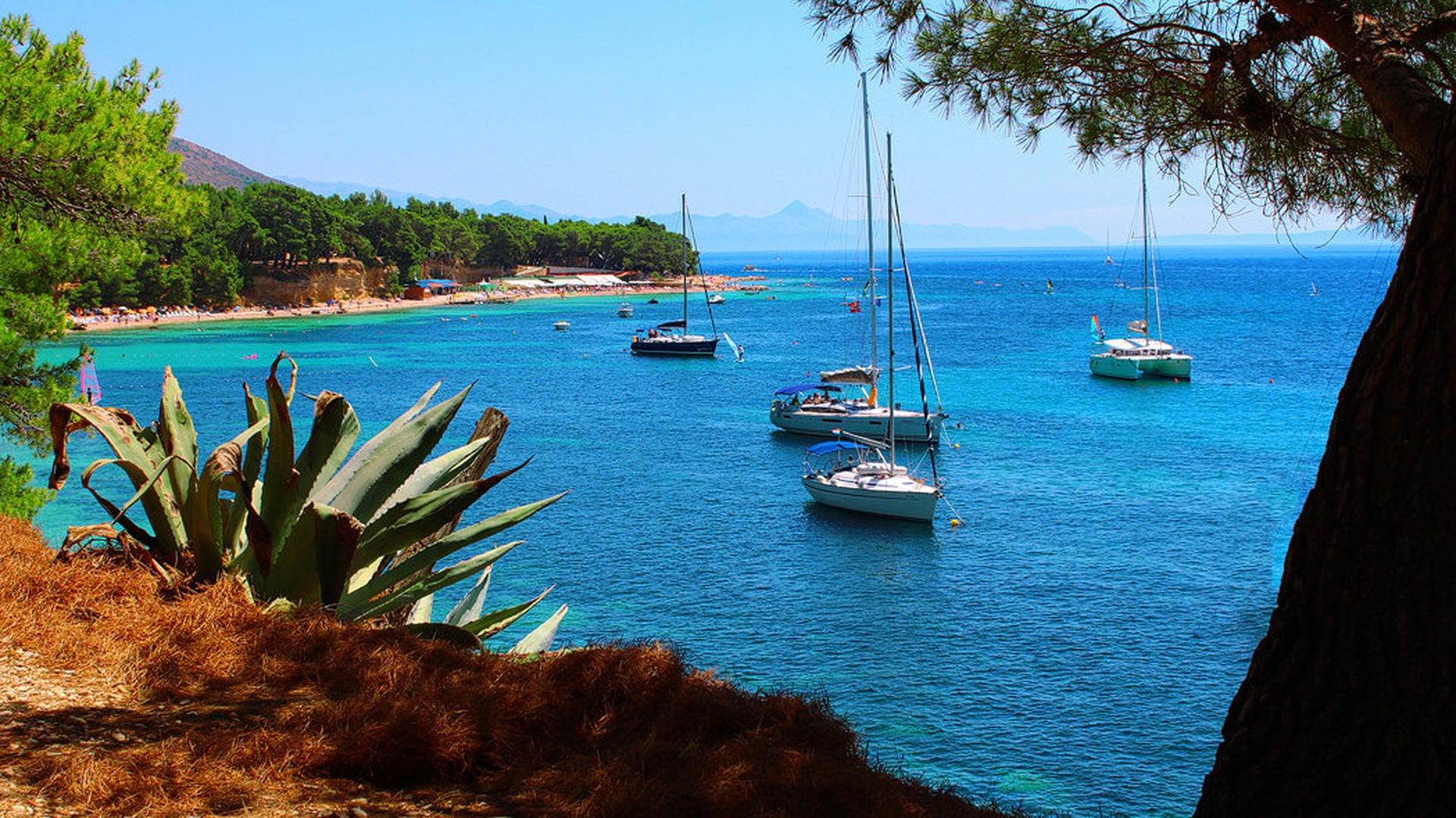 Bol, Brač by Saso B