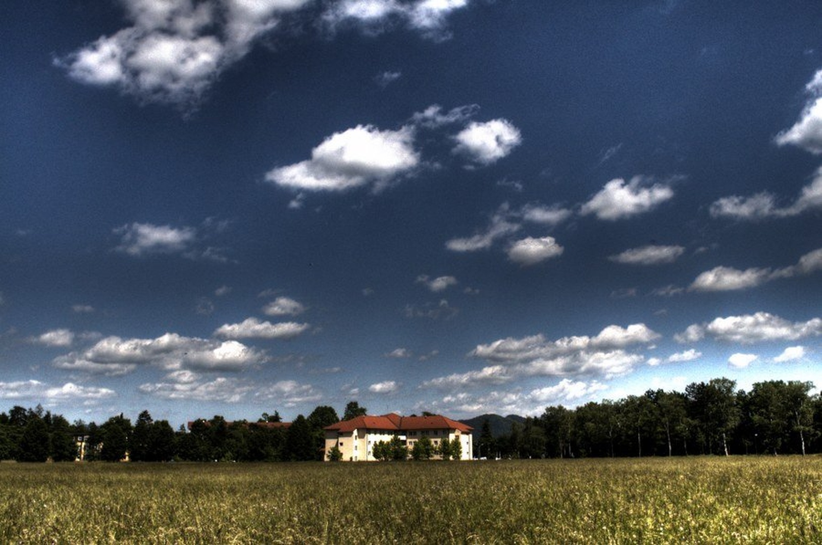 Zlovešče Polje by Saso B