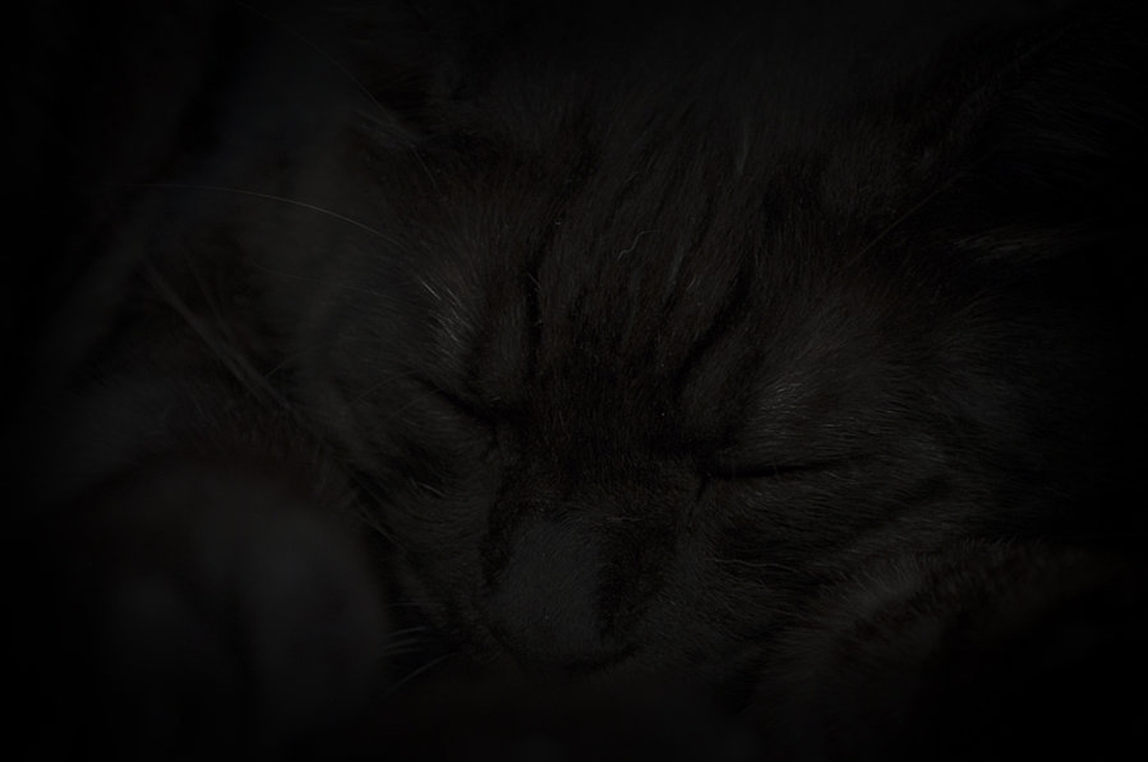 Sleeping by Saso B
