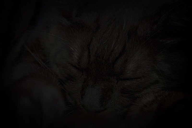 Sleeping by Saso B