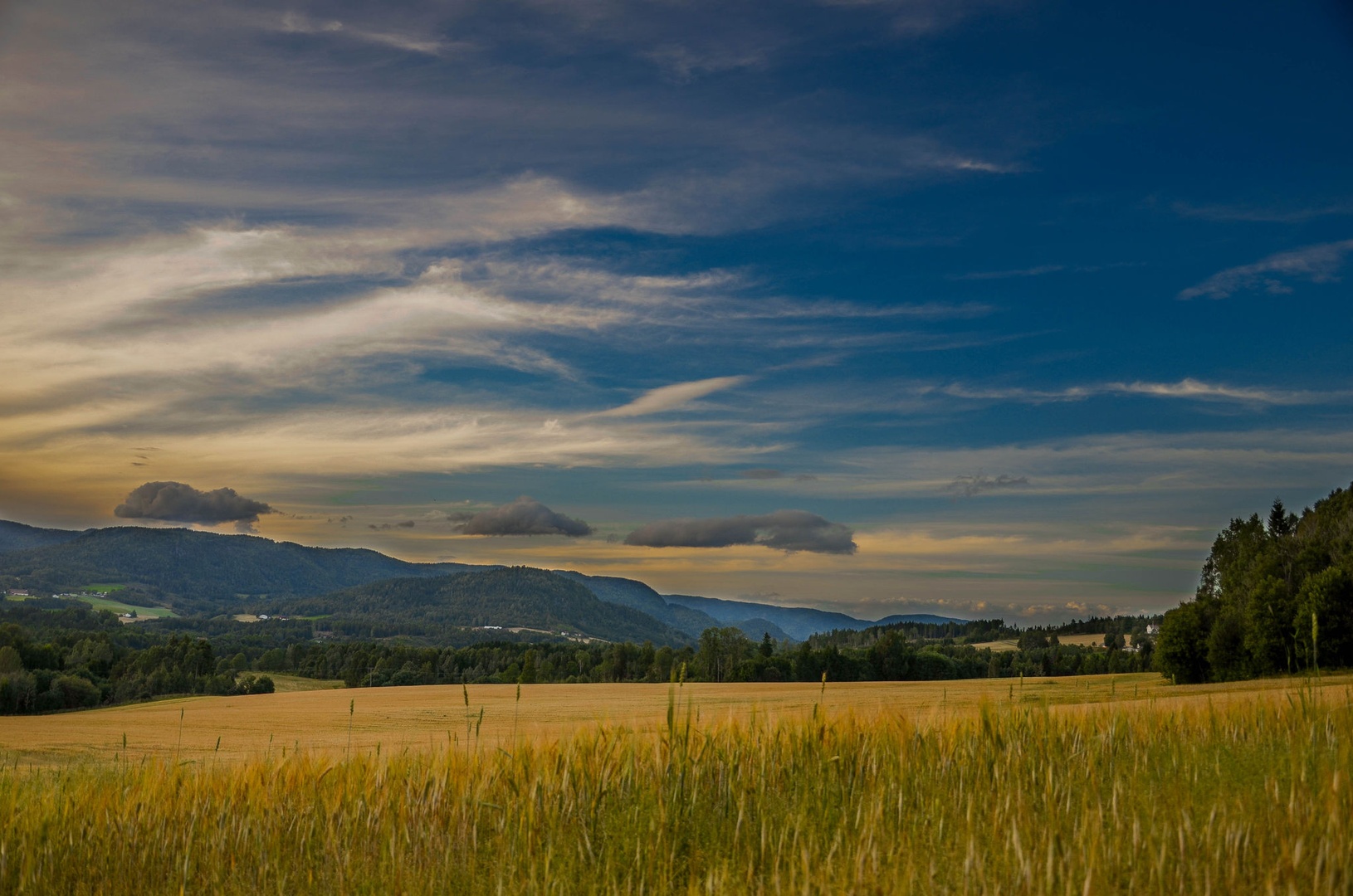 Polje by Matic Pandel