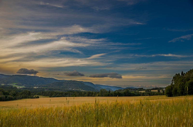 Polje by Matic Pandel