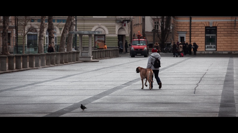 Not alone by Matic Pandel
