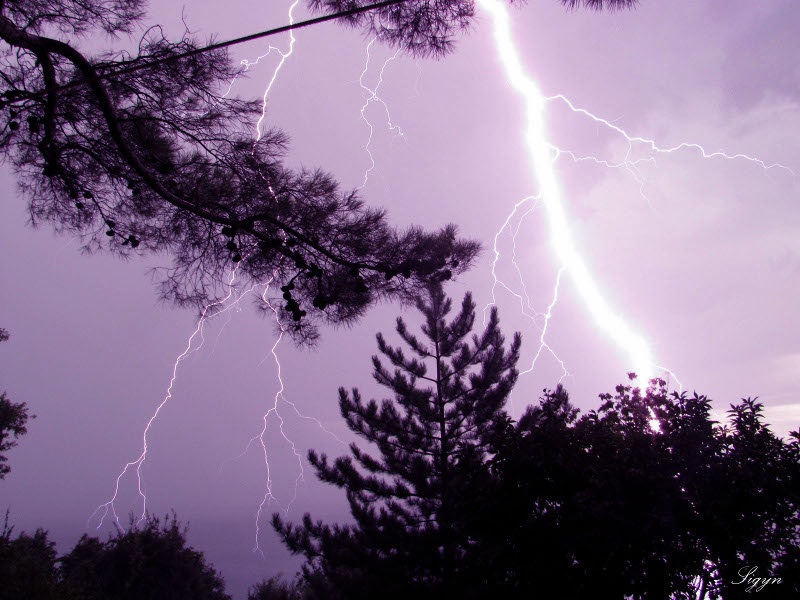 Thunder by Tamara