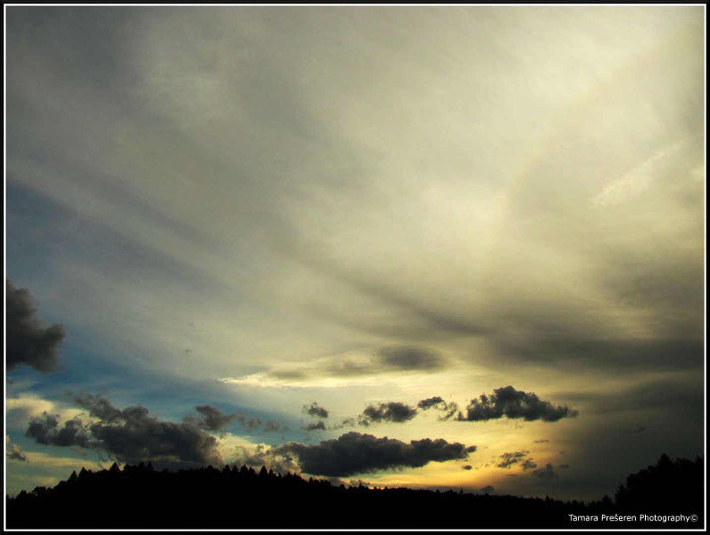 Before night falls by Tamara