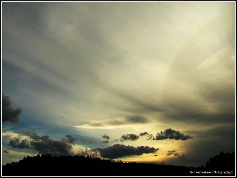 Before night falls by Tamara