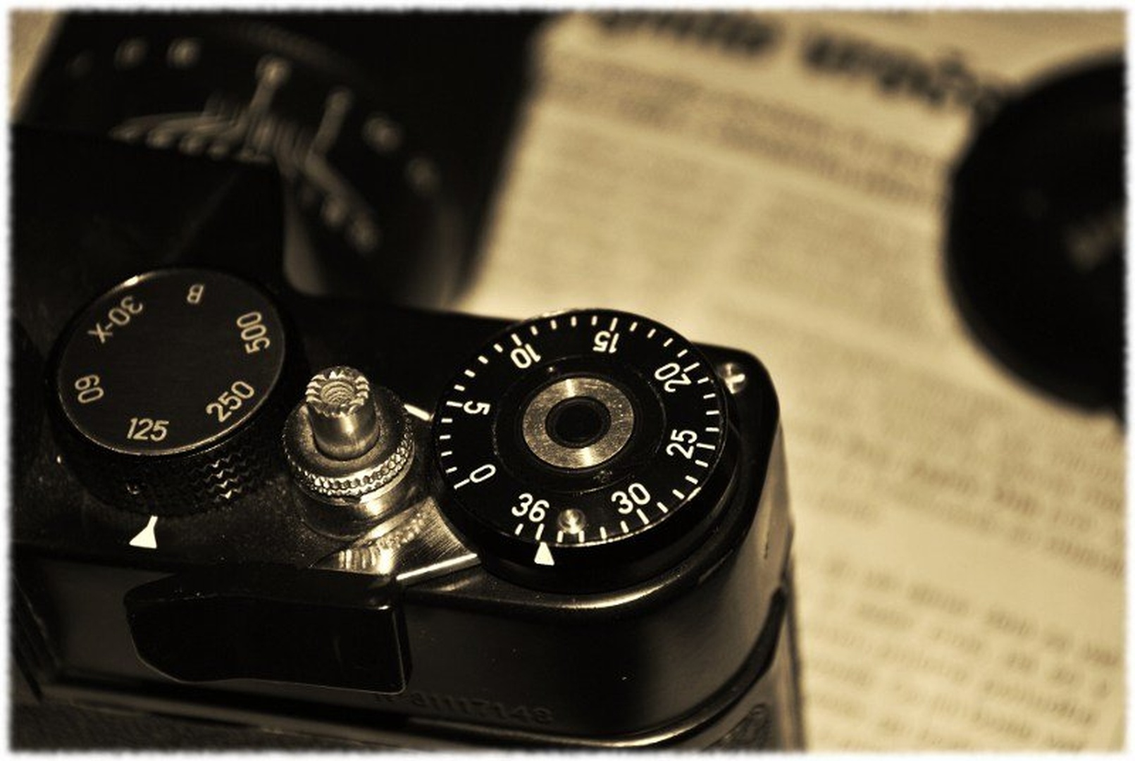 Zenit by Tamara