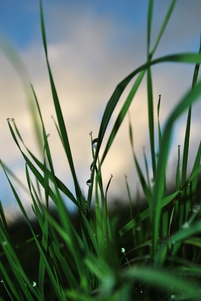 After the rain by Tamara