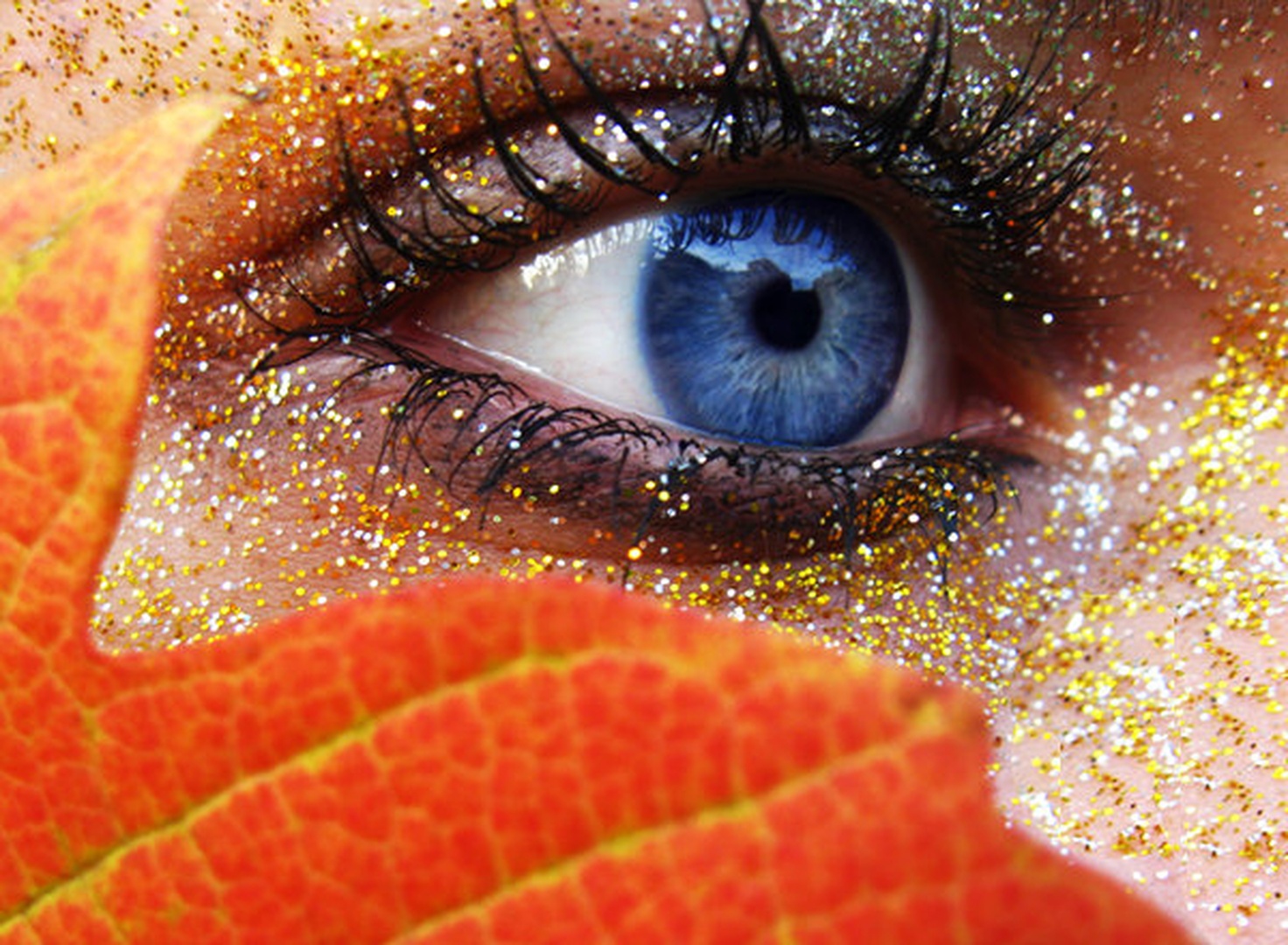 Autumn's eye by