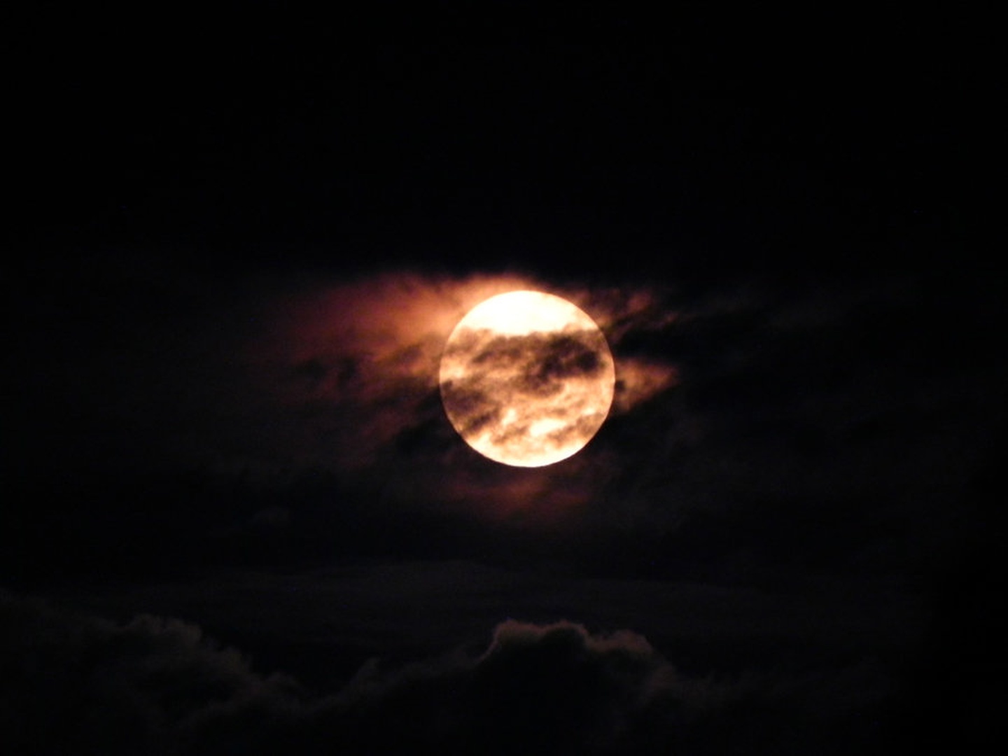 Luna by