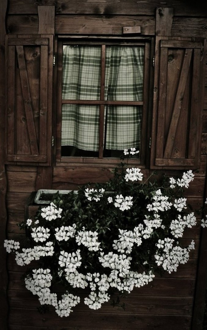 Okno by