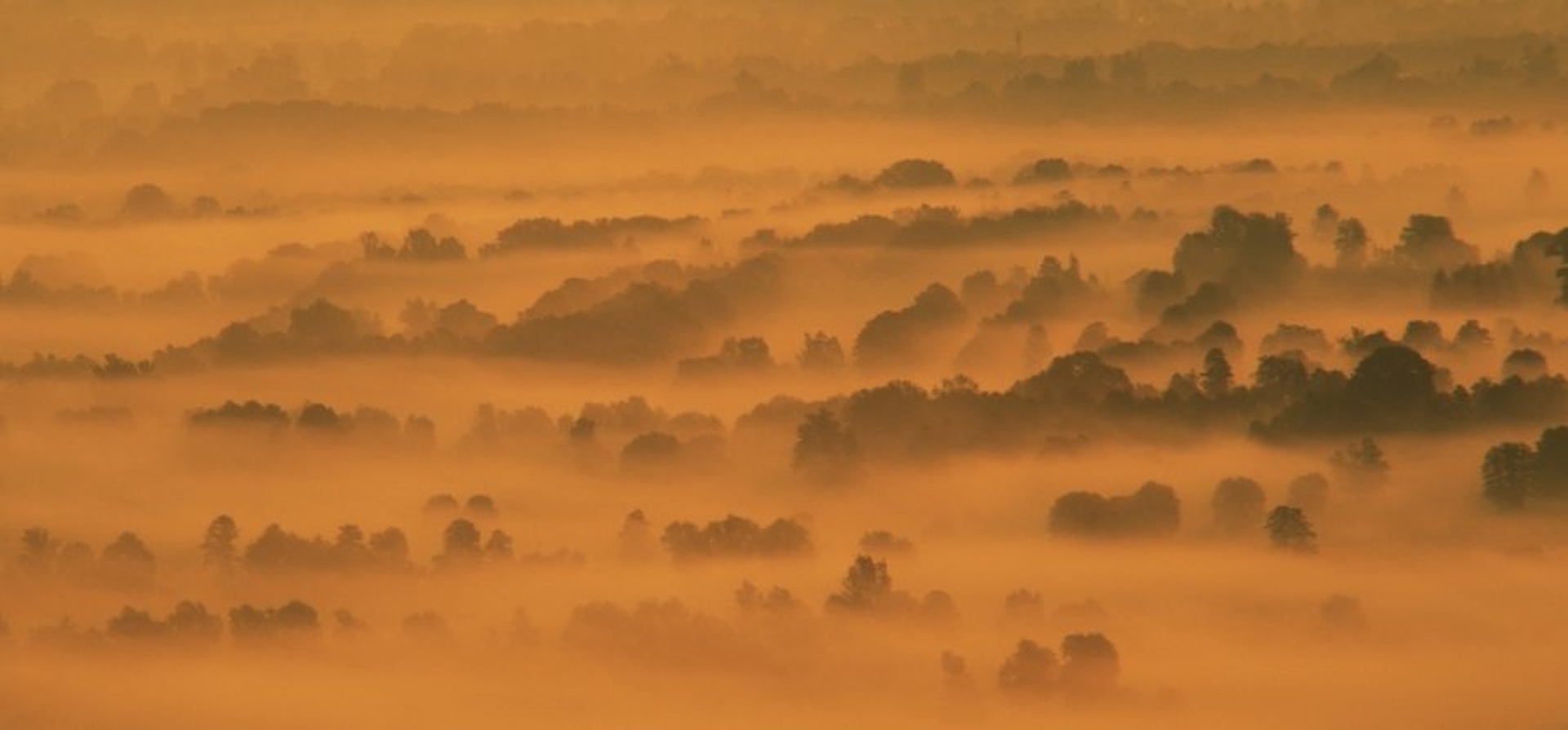 Dobro jutro by iztok virant