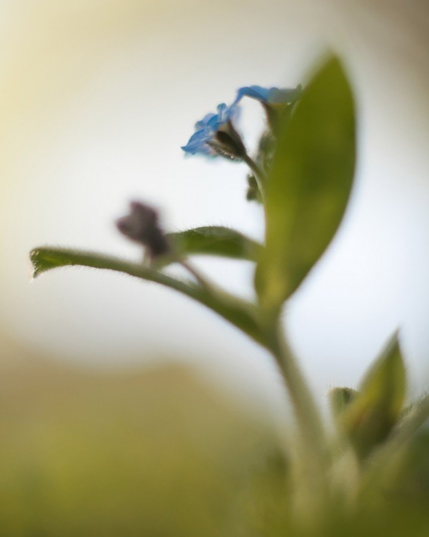 Hard to focus by iztok virant