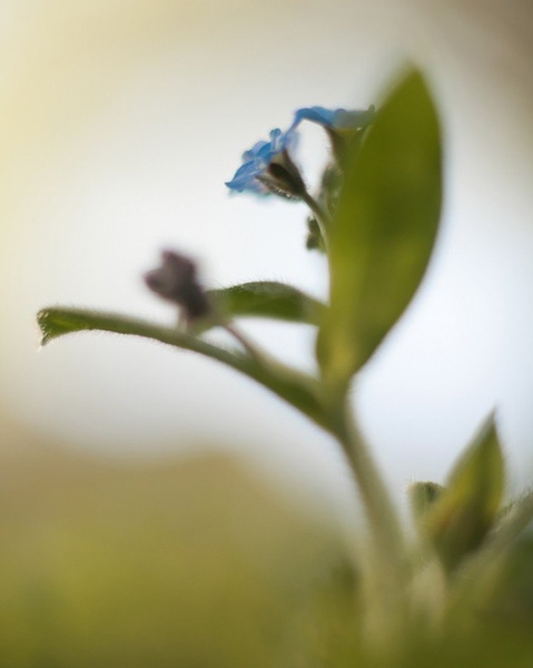 Hard to focus by iztok virant