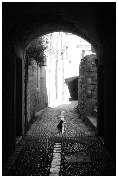 The Catwalk by Ivan Stanojević
